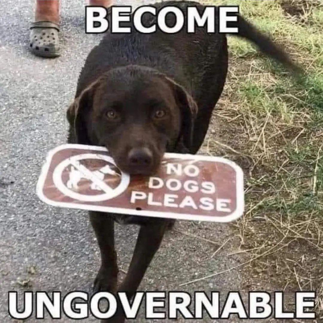 This meme is a photo of a dog standing in front of a "No Dogs Allowed" sign, with the dog's mouth in front of the sign. The text overlay reads "I can read the sign, but I'm not listening".